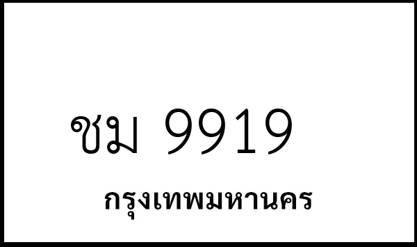 ชม 9919